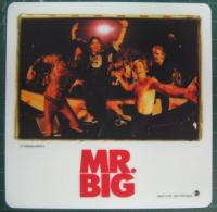 MR.BIG　（ミスター・ビッグ） / ディープ・カッツ〜バラード・ベスト