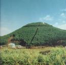 奥田民生 / 股旅