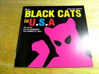 ブラック・キャッツ / GO! CAT GO! -BLACK CATS in U.S.A- 