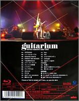 ミワ　miwa / miwa concert tour 2012 “guitarium"