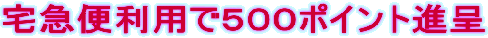 ��}�֗��p�łT�O�O�|�C���g�i�� 