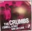 The Crumbs / The Ridicules