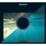 sakanaction (初回生産限定盤CD+DVD)