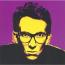 Very Best of Elvis Costello