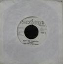 カールトン&ザ・シューズ / ラブ・ミー・フォーエバー