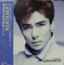 郷ひろみ / ラビリンス