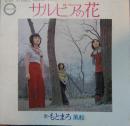 もとまろ / サルビアの花
