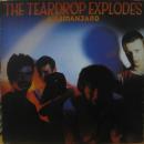 ティアドロップ・エクスプローズ / キリマンジェロ