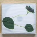 今井美樹 / フロム　1986