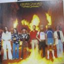 レーナード・スキナード / ストリート・サーバイバーズ