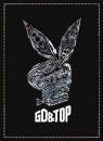 G-DRAGON (from BIGBANG) / GD & TOP Vol. 1(韓国盤)