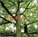 キロロ / 長い間