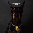 ドーベルマン・インフィニティ / 1st SONG