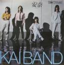 甲斐バンド / 安奈