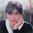 藤原理恵 / 愛よファラウェイ