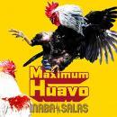 INABA/SALAS / Maximum Huavo (初回限定盤・CD+DVD)