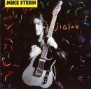 マイク・スターン / ジグソー
