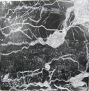 ビジター / Visitor