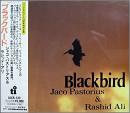ジャコ・パストリアス，ラシッド・アリ / ブラックバード