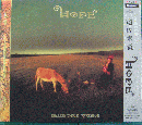 遊佐未森 / HOPE