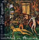 ラヴ/ヘイト / WASTED　IN　AMERICA