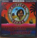 細野晴臣 / トロピカル・ダンディ　tropical　dandy