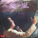 菅原洋一 / 愛の嵐