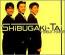 Shibugaki-tai 1982-1988