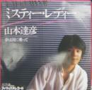 山本達彦 / ミスティ・レディ