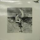 森園勝敏 / バッド・アニマ