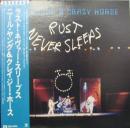ニール・ヤング / ラスト・ネヴァー・スリープス