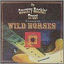 VA / オムニバス / カントリー・ロックの逆襲　’98　ワイルド・ホーセス