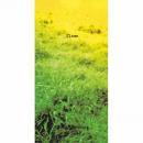 河村隆一 / グラス