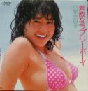素敵なラブリーボーイ