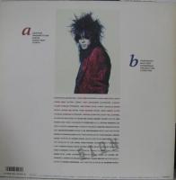 シオン / 春夏秋冬