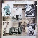 ファミリー・グルーヴ