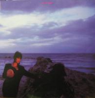 刀根麻理子 / ジャスト・マイ・トーン