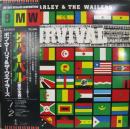 サバイバル(黒の生存)