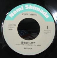 島田奈美 / 愛を走らせて