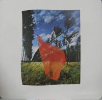 ピンク・フロイド             / 炎　あなたがここにいてほしい　