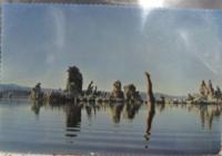 ピンク・フロイド             / 炎　あなたがここにいてほしい　