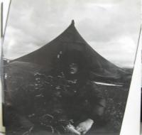 森田童子 / ラスト・ワルツ