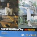 ダッド・マン・キャット