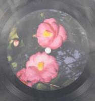 BORO（ボロ） / BORO(ボロ)