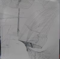 ステファン・ゴールドマン / ベクター・リチュアルズ