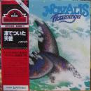 凍てついた天使