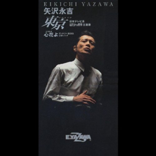 美品 THE LIVE EIKICHI YAZAWA 矢沢永吉 DVD BOX 全17枚セット