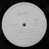 レーナード・スキナード / ストリート・サーバイバーズ