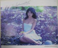 川島なお美 / アッシュ・ウェンズデイ