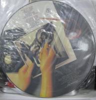 ディッキーズ / インクレディブル・シュリンキング・ディッキーズ